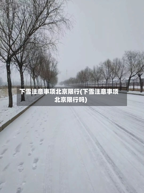 下雪注意事项北京限行(下雪注意事项北京限行吗)-第2张图片
