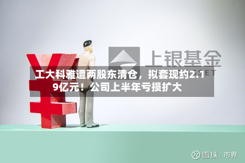 工大科雅遭两股东清仓	，拟套现约2.19亿元！公司上半年亏损扩大-第1张图片