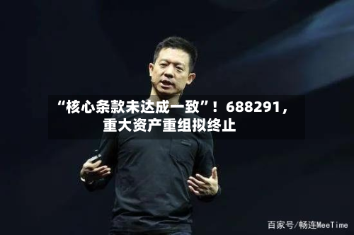 “核心条款未达成一致	”！688291	，重大资产重组拟终止-第1张图片
