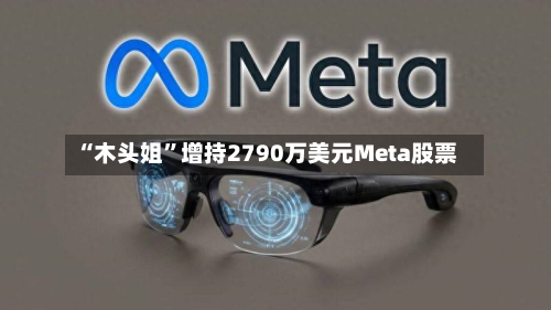 “木头姐”增持2790万美元Meta股票-第1张图片