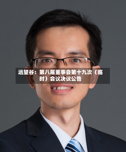远望谷：第八届董事会第十九次（临时）会议决议公告-第1张图片