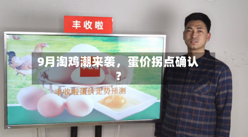 9月淘鸡潮来袭	，蛋价拐点确认？-第3张图片