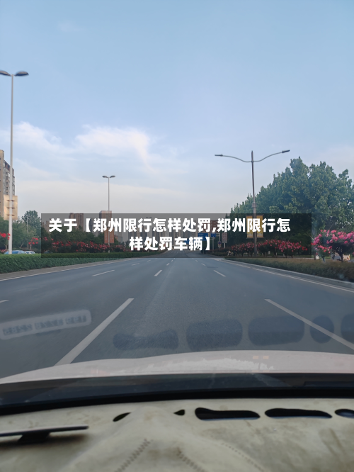 关于【郑州限行怎样处罚,郑州限行怎样处罚车辆】-第3张图片