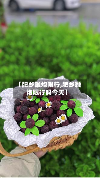 【肥乡鞭炮限行,肥乡鞭炮限行吗今天】-第1张图片