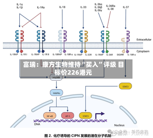 富瑞：康方生物维持“买入	”评级 目标价226港元-第1张图片