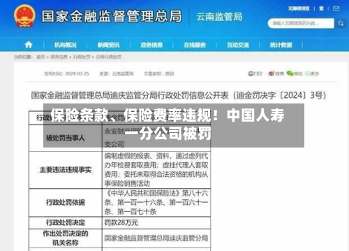 保险条款、保险费率违规！中国人寿一分公司被罚-第3张图片