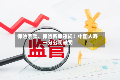保险条款	、保险费率违规！中国人寿一分公司被罚-第2张图片