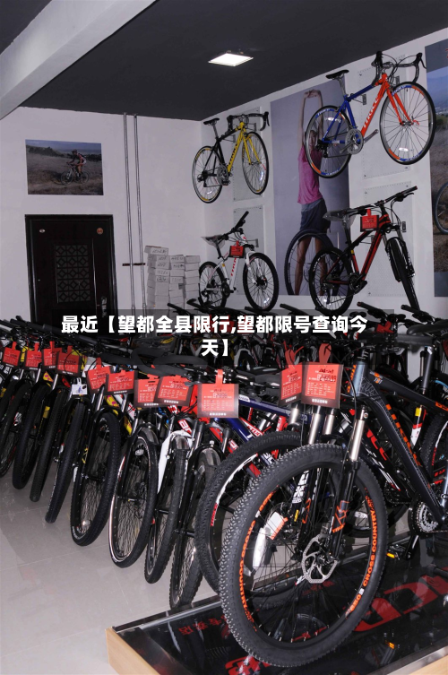 最近【望都全县限行,望都限号查询今天】-第1张图片