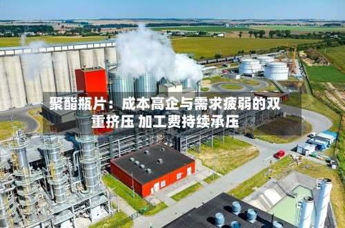 聚酯瓶片：成本高企与需求疲弱的双重挤压 加工费持续承压-第1张图片