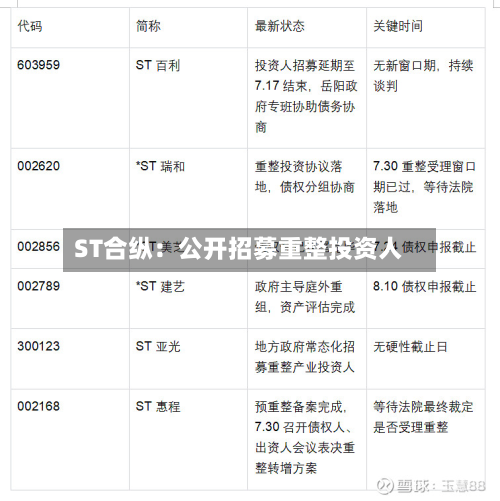 ST合纵：公开招募重整投资人-第3张图片