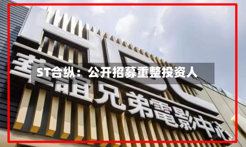 ST合纵：公开招募重整投资人-第1张图片