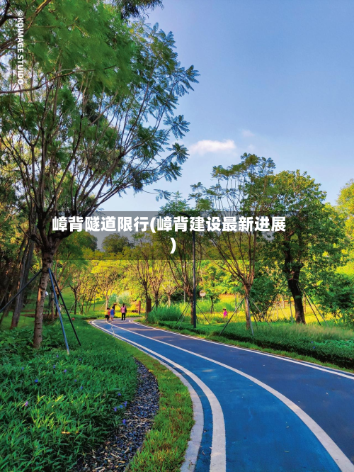 嶂背隧道限行(嶂背建设最新进展)-第2张图片