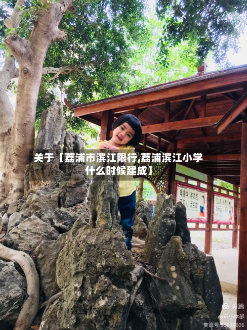 关于【荔浦市滨江限行,荔浦滨江小学什么时候建成】-第1张图片