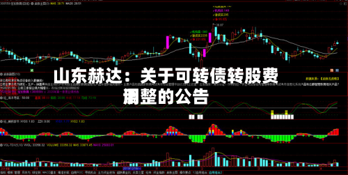 山东赫达：关于可转债转股费用调整的公告-第1张图片