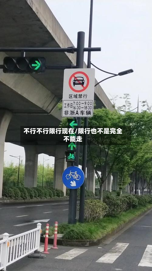 不行不行限行现在/限行也不是完全不能走-第2张图片
