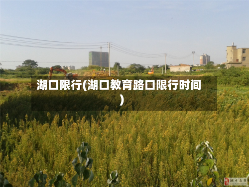 湖口限行(湖口教育路口限行时间)-第3张图片
