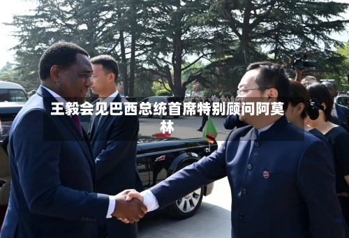 王毅会见巴西总统首席特别顾问阿莫林-第3张图片
