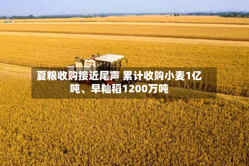 夏粮收购接近尾声 累计收购小麦1亿吨、早籼稻1200万吨-第1张图片