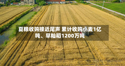 夏粮收购接近尾声 累计收购小麦1亿吨、早籼稻1200万吨-第2张图片