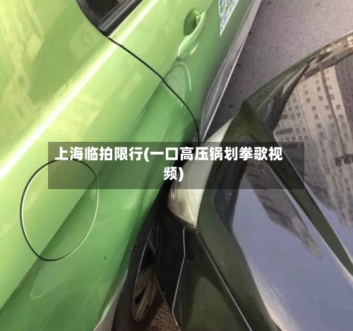 上海临拍限行(一口高压锅划拳歌视频)-第3张图片