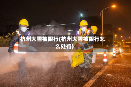 杭州大雪被限行(杭州大雪被限行怎么处罚)-第1张图片