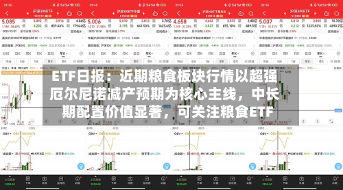 ETF日报：近期粮食板块行情以超强厄尔尼诺减产预期为核心主线	，中长期配置价值显著，可关注粮食ETF-第2张图片