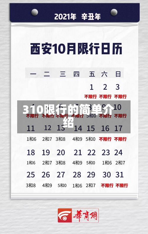 310限行的简单介绍-第2张图片