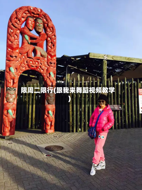 限周二限行(跟我来舞蹈视频教学)-第3张图片