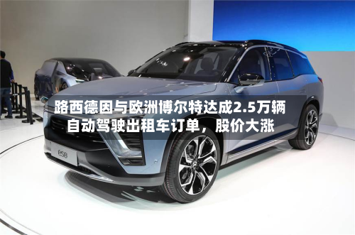 路西德因与欧洲博尔特达成2.5万辆自动驾驶出租车订单	，股价大涨-第2张图片