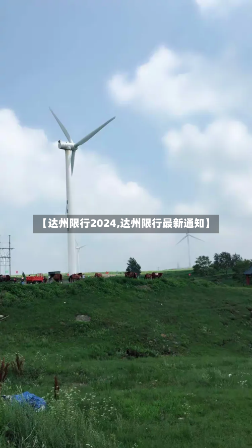 【达州限行2024,达州限行最新通知】-第2张图片