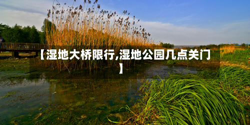 【湿地大桥限行,湿地公园几点关门】-第3张图片
