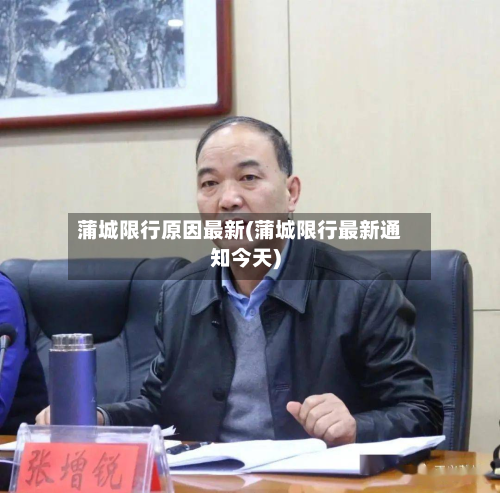 蒲城限行原因最新(蒲城限行最新通知今天)-第1张图片