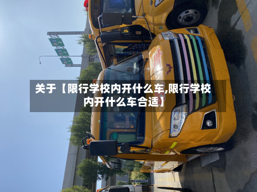 关于【限行学校内开什么车,限行学校内开什么车合适】-第1张图片