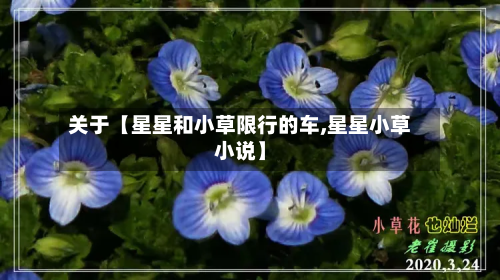 关于【星星和小草限行的车,星星小草小说】-第1张图片
