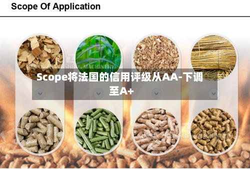 Scope将法国的信用评级从AA-下调至A+-第2张图片