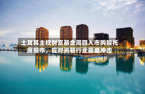 土耳其主权财富基金周四入市购股托底股市	，应对资管行业崩盘冲击-第1张图片