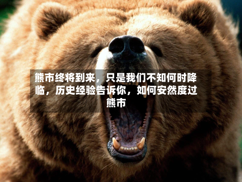 熊市终将到来	，只是我们不知何时降临，历史经验告诉你，如何安然度过熊市-第1张图片