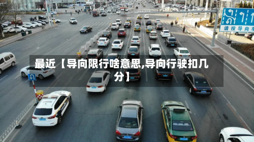 最近【导向限行啥意思,导向行驶扣几分】-第3张图片