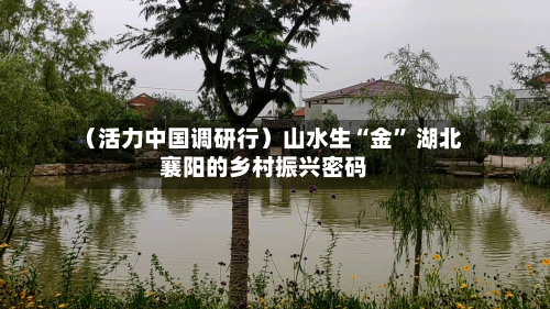 （活力中国调研行）山水生“金” 湖北襄阳的乡村振兴密码-第1张图片