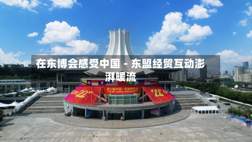 在东博会感受中国-东盟经贸互动澎湃暖流-第1张图片