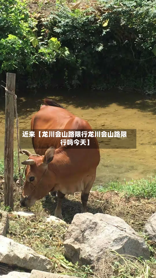 近来【龙川会山路限行龙川会山路限行吗今天】-第1张图片