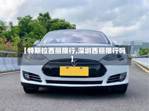 【特斯拉西丽限行,深圳西丽限行吗】-第2张图片