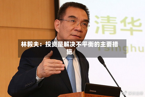林毅夫:投资是解决不平衡的主要措施-第2张图片