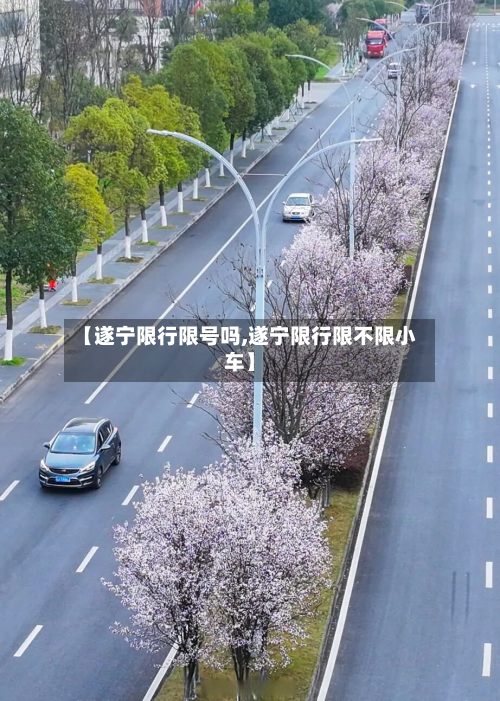 【遂宁限行限号吗,遂宁限行限不限小车】-第1张图片