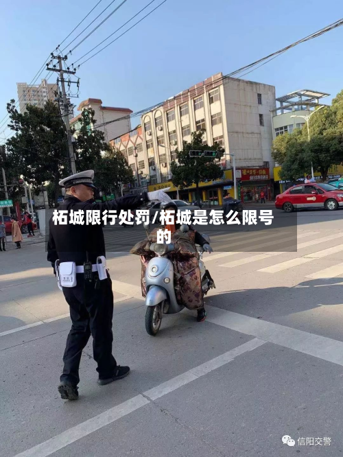 柘城限行处罚/柘城是怎么限号的-第2张图片