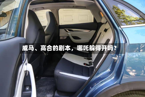 威马	、高合的剧本，哪吒躲得开吗？-第2张图片