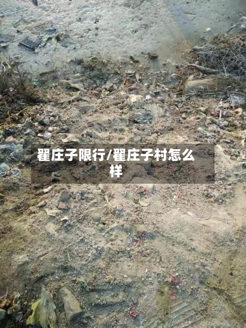 翟庄子限行/翟庄子村怎么样-第2张图片