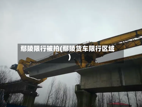 鄢陵限行被拍(鄢陵货车限行区域)-第3张图片