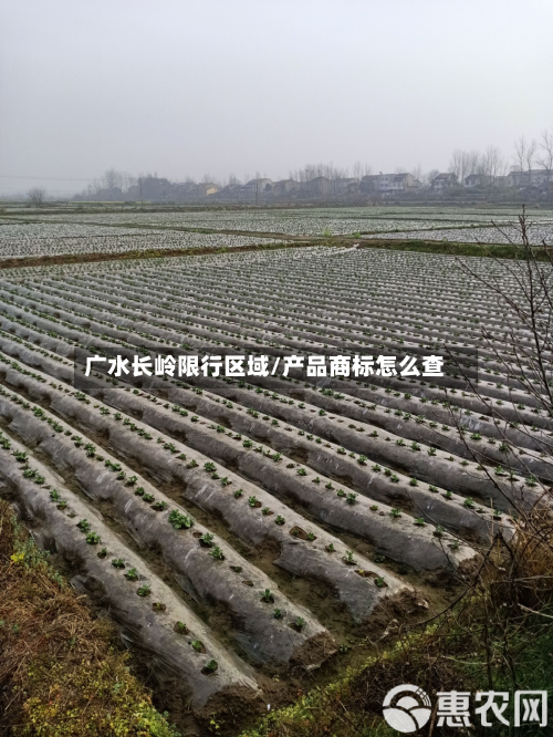 广水长岭限行区域/产品商标怎么查-第1张图片