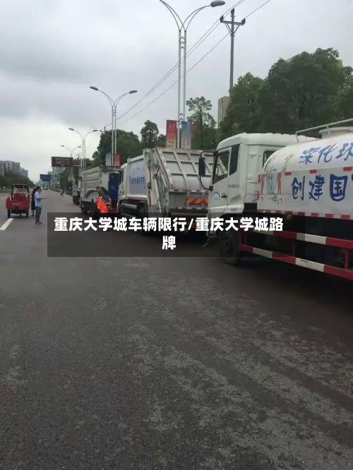 重庆大学城车辆限行/重庆大学城路牌-第1张图片